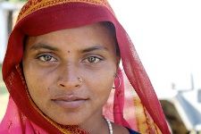 Documentary Pink Saris