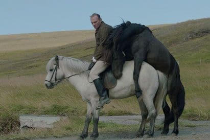 Of Horses And Men