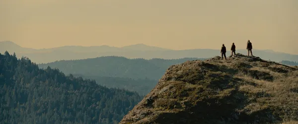 Sasquatch Sunset. David Zellner: 'Both the humour and the poignancy for us came in the kind of uncomfortable grey area between human and animal behaviour, where there’s an awkward overlap'