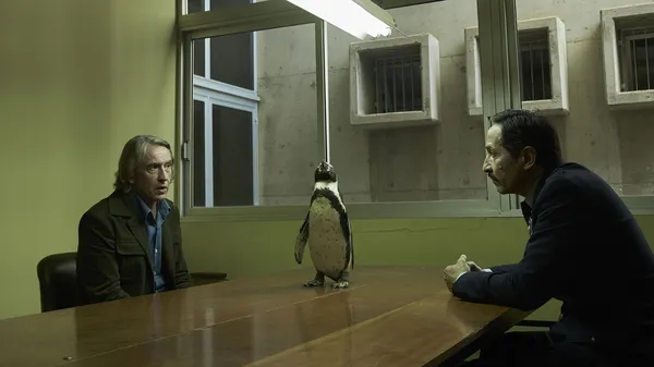 Steve Coogan as Tom Michel, Baba/Richard the penguins as Juan Salvador, Osvaldo Ayre as Customs Officer, in The Penguin Lessons