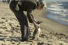 Tom urges Juan Salvador to return to the sea.