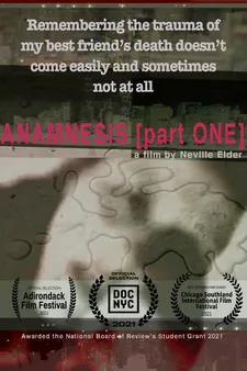 Anamnesis [Part One] poster