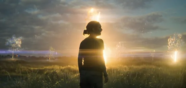 Annihilation