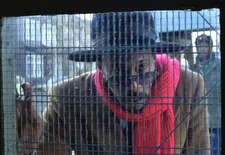 Archie Pool is Dreadhead in Babylon