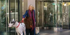 Iris (Naomi Watts) on the streets of New York City with her very large tote bag and Apollo (played by Bing)
