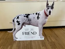 Bing a star in The Friend at the Angelika Film Center