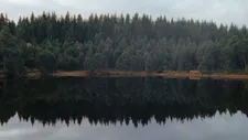 Jonas Bak: “I would say, the legends around the forest, that’s also I guess a part of the film and part of where the mother finds refuge and peace for herself.”