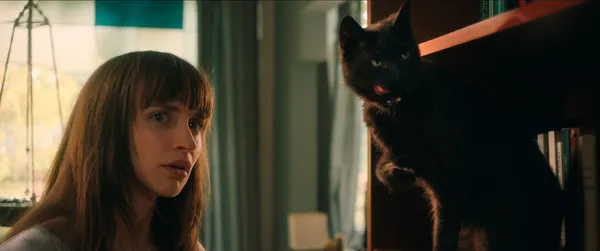 Cat Call