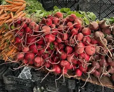 Andrea Segre on the Chioggia beet I gave him in 2012 for Shun Li and the Poet: “Ha! I remember the beet!”