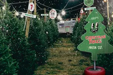 Christmas tree lot graphics on the signs by Nate Carlson