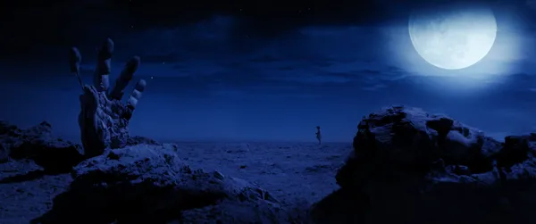 Moon Garden