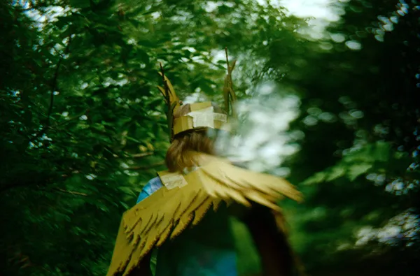 Death Of A Yellow Bird