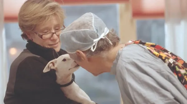 The Dog Doc
