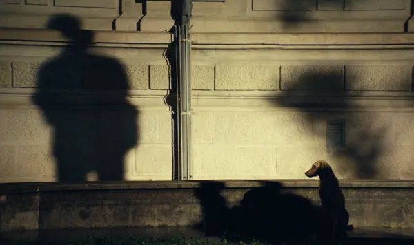 What Do We See When We Look At The Sky? director Alexandre Koberidze: “When I go somewhere where there are no dogs, for example, in the streets it feels empty for me.”
