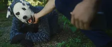 Who's a good boy?