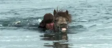 "It's not so hard for the horse as you think it is."
