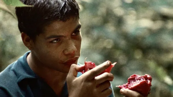 The Pack is set in an experimental centre for youngsters in the Colombian tropical forest