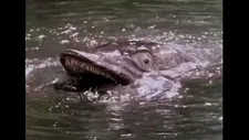 The piscine anti-hero of never-completed Cliff Twemlow project The Pike, which was inspired by Jaws