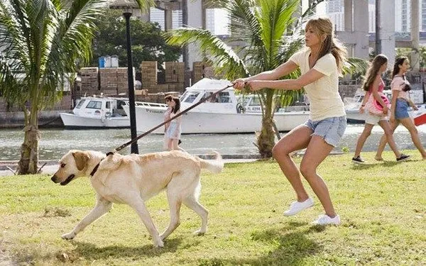 Marley & Me