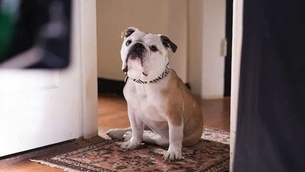 Nellie in Paterson