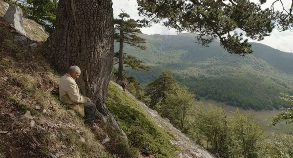 Michelangelo Frammartino on Nicola Lanza, the shepherd in Il Buco (The Hole): “His face seems like the bark of a tree; it seems created by the stones of the Pollino.”