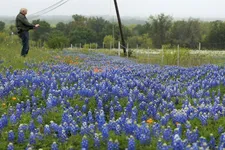 Piet Oudolf photographing the wildflowers of West Texas