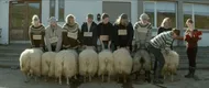  Rams - photo by © Netop Films 2015