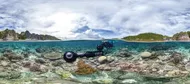  Chasing Coral - photo by Caitlin Seaview Survey