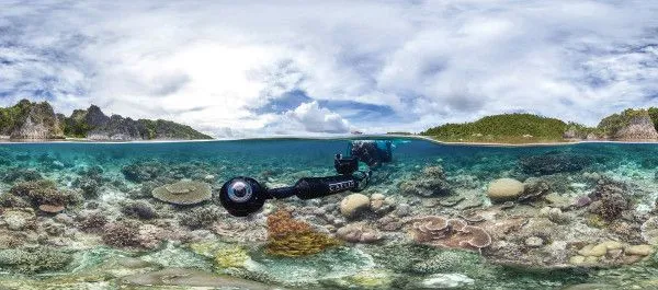Chasing Coral