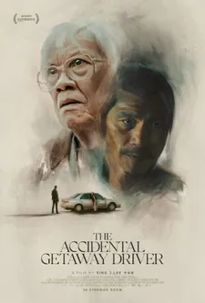 Accidental Getaway Driver - poster