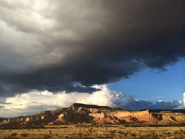 "It's a genuinely wild landscape out there" - Tomas Leach