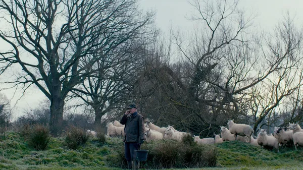 The Old Man And The Land