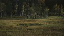 Clément Cogitore: "In the taiga the bear is the biggest danger."