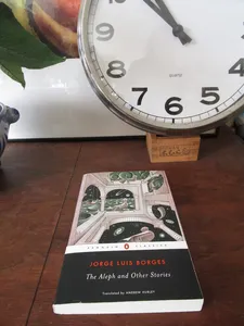 Iva Radivojević quoting from Jorge Luis Borges’s The Aleph: “I saw millions of mirrors staring at me and none of them reflected me.”