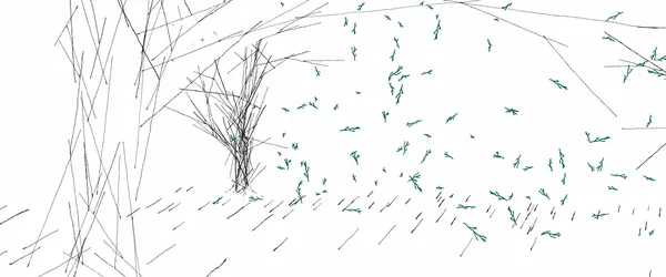 The Train, The Forest