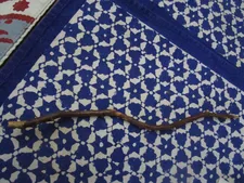 Nibbled-on twig by the rescued bird from my grandmother's plum tree