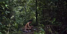 Deep in the forest