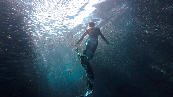 A Drop In The Ocean