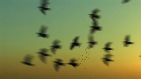 A Tale Of Two Syrias