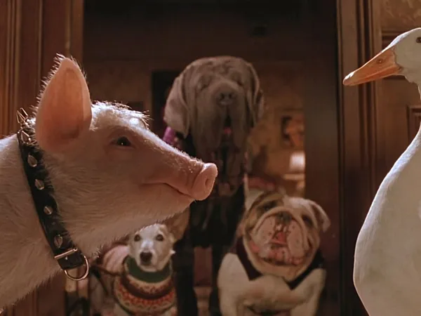 Babe: Pig In The City