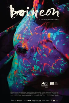 Neon Bull poster