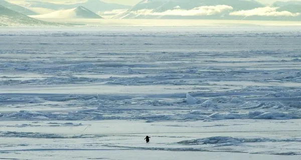 Encounters At The End Of The World