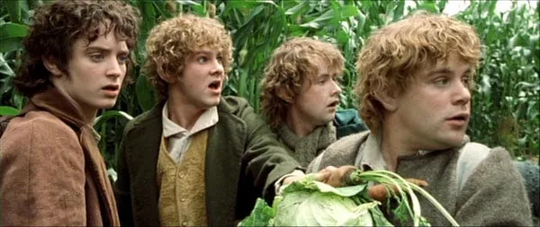 The Lord Of The Rings: The Fellowship Of The Ring