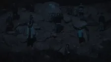 The Seeding