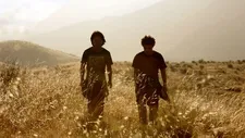 The Golden Dream