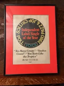 99 Records Bush Tetras Too Many Creeps Independent Label Single of the Year