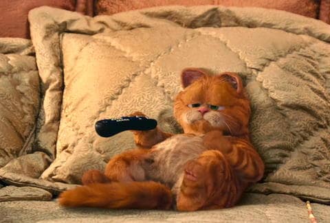 Garfield: A Tail Of Two Kitties