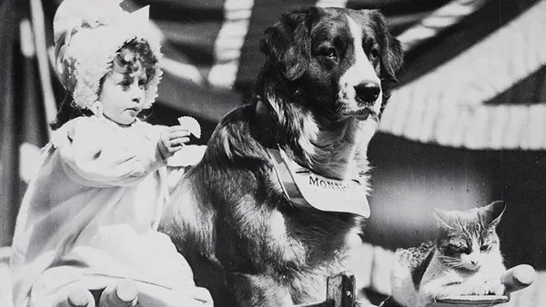 Me And My Two Friends (1898) will be among the films screening