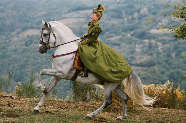 The Princess Of Montpensier
