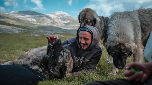 Petra Seliškar: 'I grew up with several different kinds of dogs, not these dogs, these are beasts… but they are really lovable, the dogs are there to protect this whole valley.'